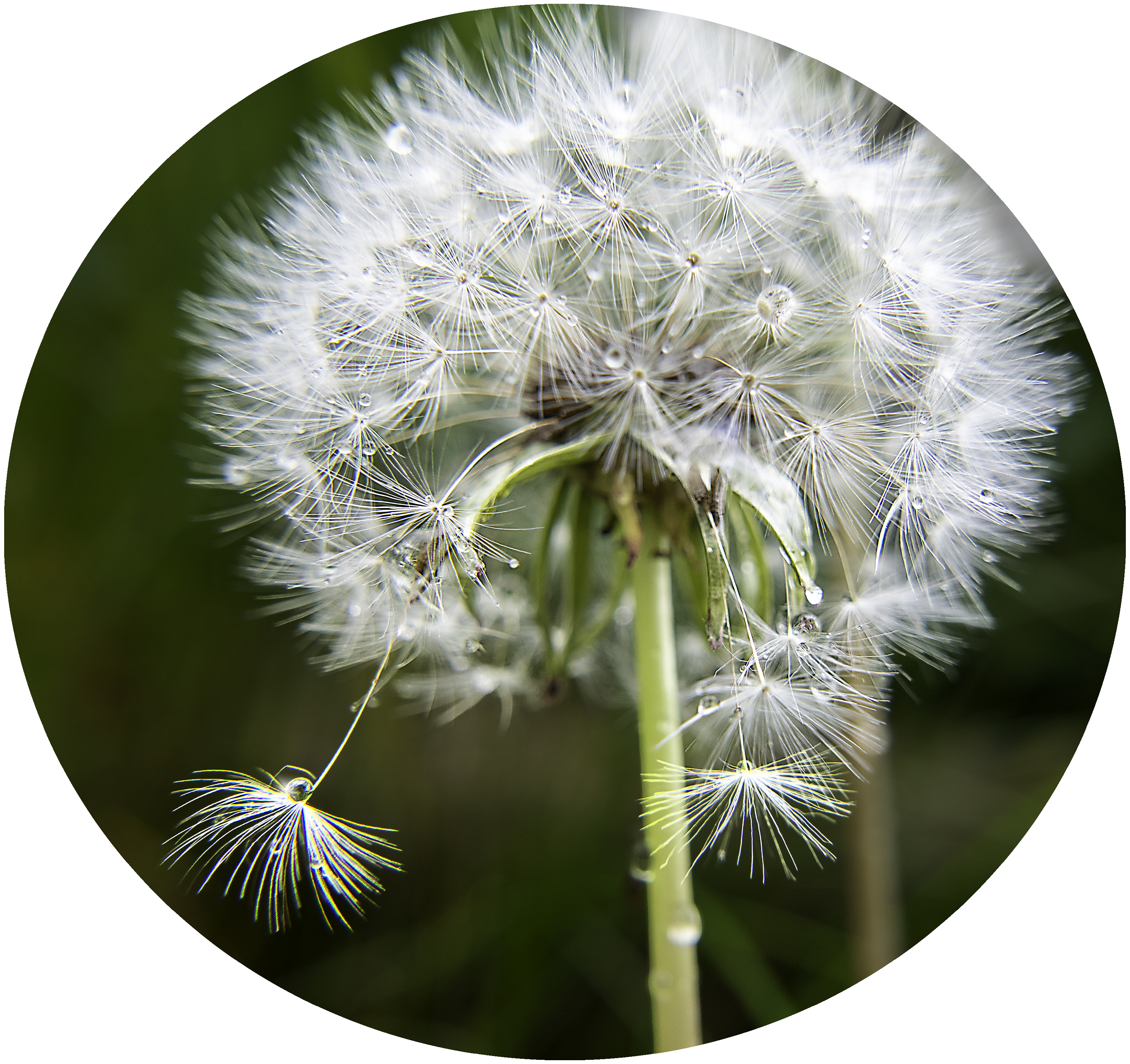 Measurement framework