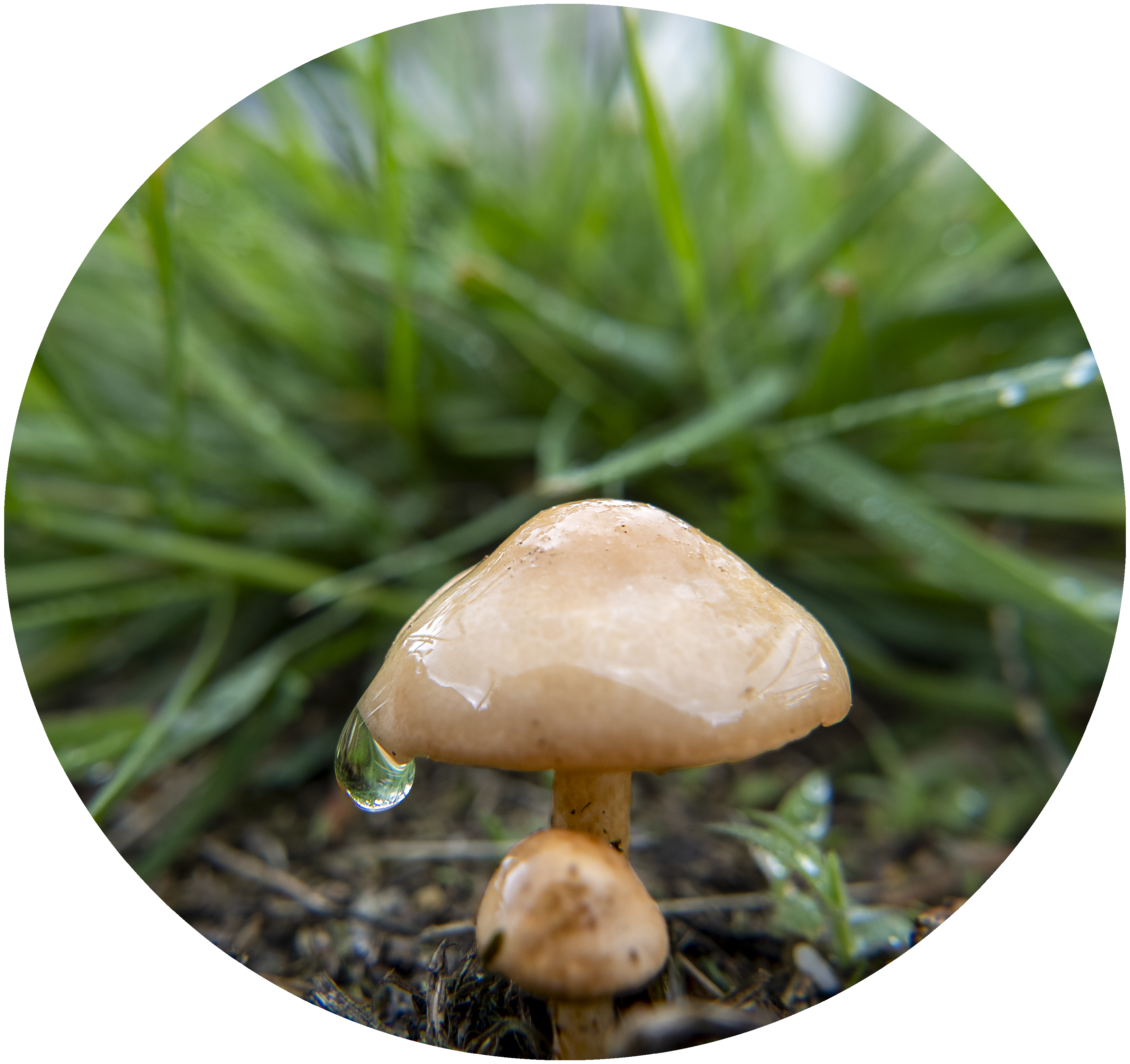 Stakeholder reporting